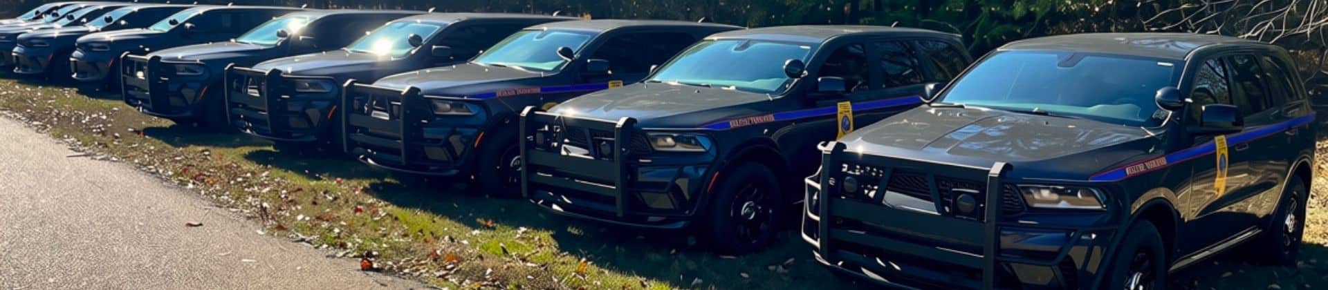 MHP fleet